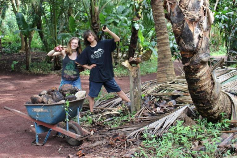 Paradise Eco Village Pahoa Exteriör bild