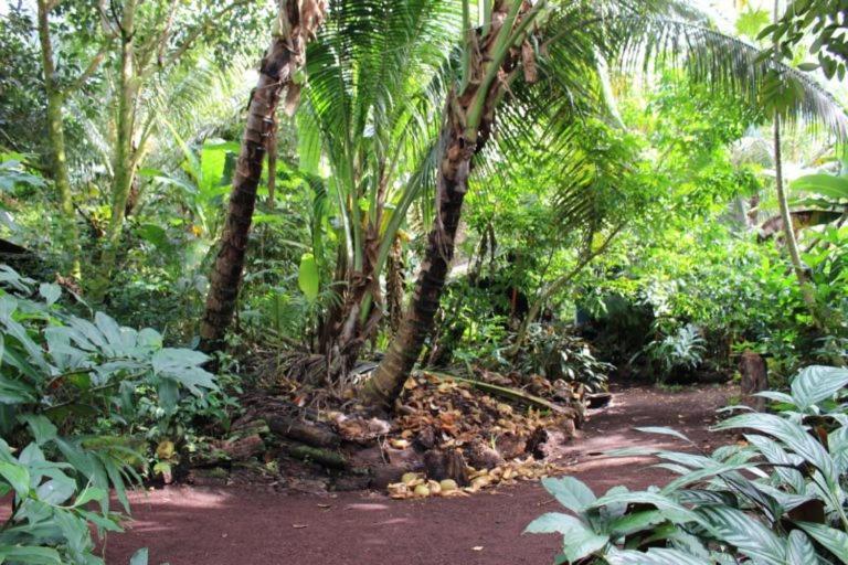 Paradise Eco Village Pahoa Exteriör bild