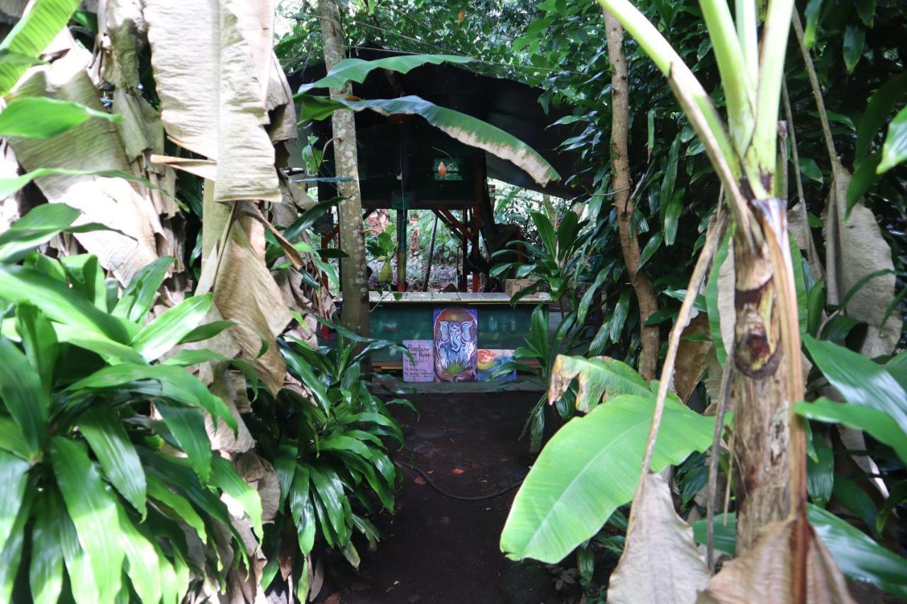 Paradise Eco Village Pahoa Exteriör bild