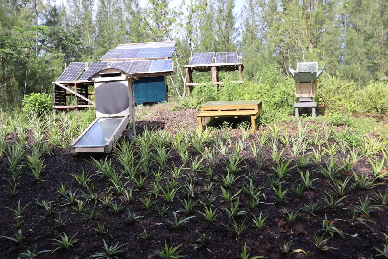 Paradise Eco Village Pahoa Exteriör bild